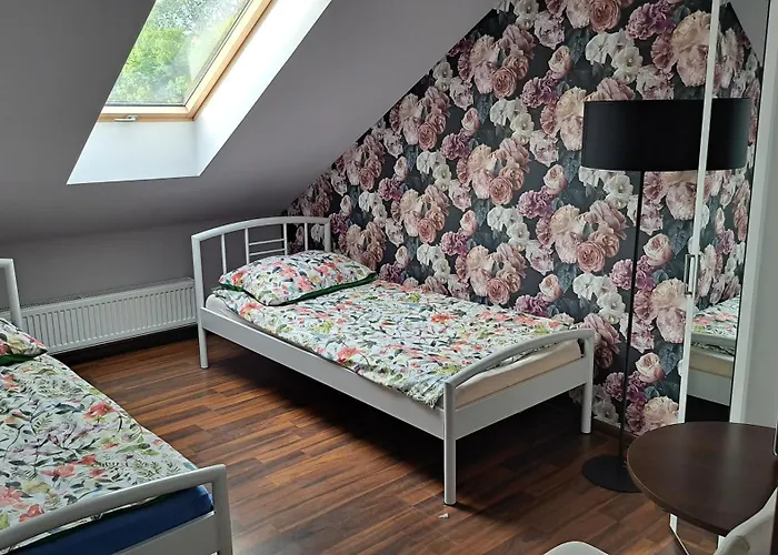 Lesne Zacisze Alloggio per agriturismo Świerzno